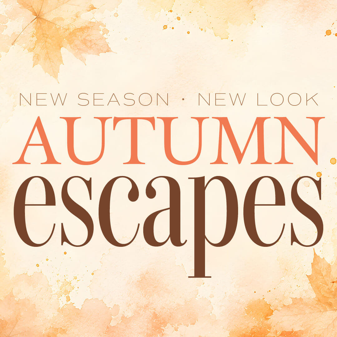 Vinson Autumn Escape Online Promo Images 1 1